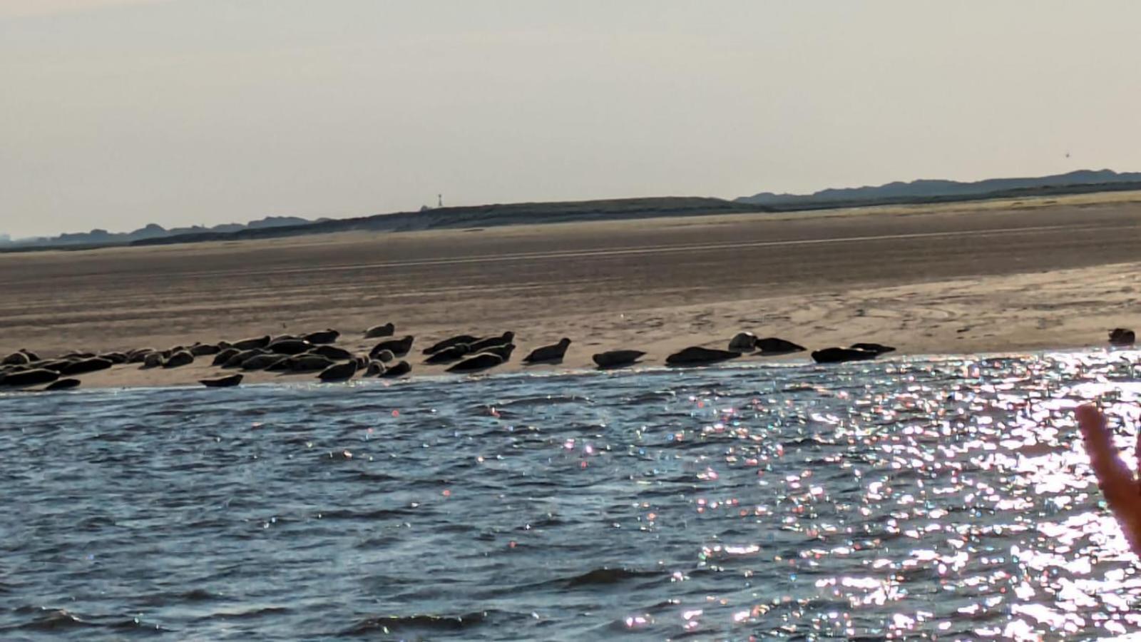 Drei-Insel-Blick Neßmersiel Exterior foto