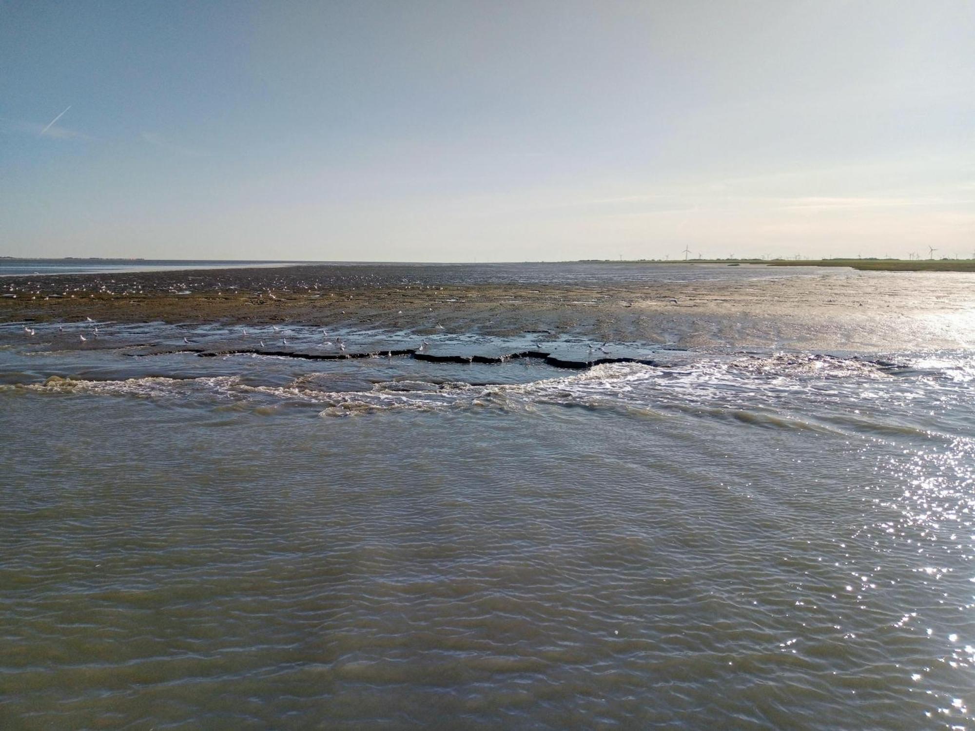 Drei-Insel-Blick Neßmersiel Exterior foto
